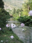 Ruscello di ninfa Ruscello di ninfa