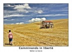 Camminando in libertà Camminando in libertà