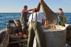 Pescatori, uomini di mare.... Pescatori, uomini di mare....