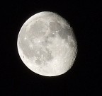 Crop_Luna_100% Crop_Luna_100%