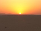 Alba all'orizzonte erano le 6.20 della mattina in un luogo desertico Tunisino a 100 km dal confine con l'Algeria.
Ne  valsa la pena....  vi piace la foto ....????
Saluti a tutti