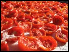 Sapori di Calabria Sapori di Calabria