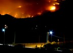 Wildfire Wildfire