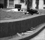 Buon riposo Buon riposo