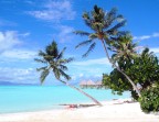 relax (bora bora) relax (bora bora)