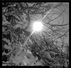 Rayon de Soleil Rayon de Soleil