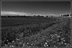 La campagna La campagna