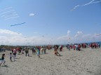 Festa che il 3 circolo di Lamezia terme organizza ogni anno in Loc. Marinella.
Fotocamera Canon PowerShot Pro1 chi la utilizza come la trova?