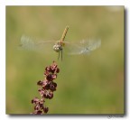 Atterraggio !!!! Atterraggio !!!!