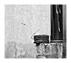 Croce di spine. Croce di spine.