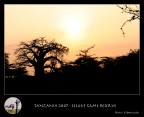 Baobab al tramonto Baobab al tramonto