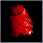 foglia v e r n i c e rossa foglia v e r n i c e rossa