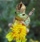 Kiss Me baby!!! Kiss Me baby!!!