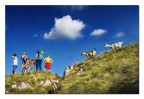 Punto Panoramico Punto Panoramico