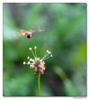 mi poso qui? mi poso qui?