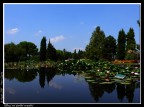 I giardini acquatici del Parco sigurt