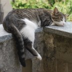 Il riposo del guerriero Il riposo del guerriero