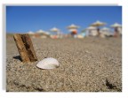 Spiaggia - Close Up Spiaggia - Close Up