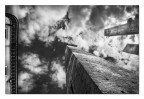 Verso il cielo Verso il cielo