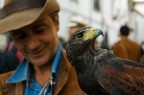 Falco e falconiere (ritratto) Falco e falconiere (ritratto)
