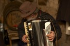 Fisarmonica Fisarmonica
