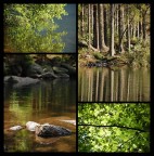 Natural sensations Natural sensations