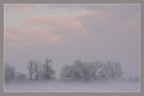 Nebbia e neve 2 Nebbia e neve 2