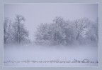 Nebbia e neve 1 Nebbia e neve 1