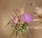 io mi poserei anche qui io mi poserei anche qui