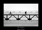 Bridges Bridges