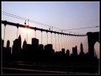 NY NY