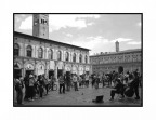 Musicisti di strada a Bologna