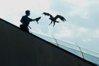 L'aquila e il falconiere L'aquila e il falconiere