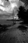 punta cana b&w punta cana b&w