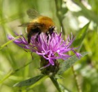 sei tutto mio! sei tutto mio!