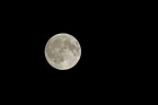 Luna piena Luna piena