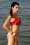 Anita 2 Anita 2