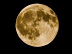la luna la luna