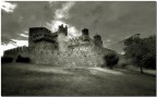 fenis castle bw