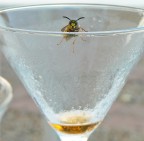 L'ape..ritivo!! L'ape..ritivo!!