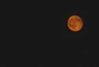 L'altro ieri mi affaccio dal balcone e mi vedo questa palla rossa davanti...non ho potuto trattenermi dal fotografarla. Ne ho ricavato un bel desktop per il mio pc :)
