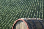 passaggio a breve passaggio a breve
