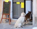 Avete un tavolo libero per due? Avete un tavolo libero per due?