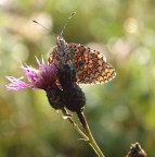 brr!! che freddo brr!! che freddo