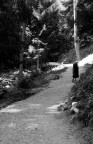Il sentiero della vita Il sentiero della vita