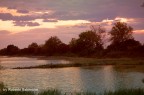 Bibione (Ve), tramonto sulla laguna

Nikon D70S, obiettivo Nikon 18-35mm
