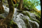 Plitvice - Una delle centinaia di cascate Plitvice - Una delle centinaia di cascate