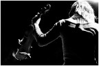 Violinista Violinista