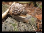 Lentamente... Lentamente...