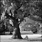 infrared afternoon infrared afternoon